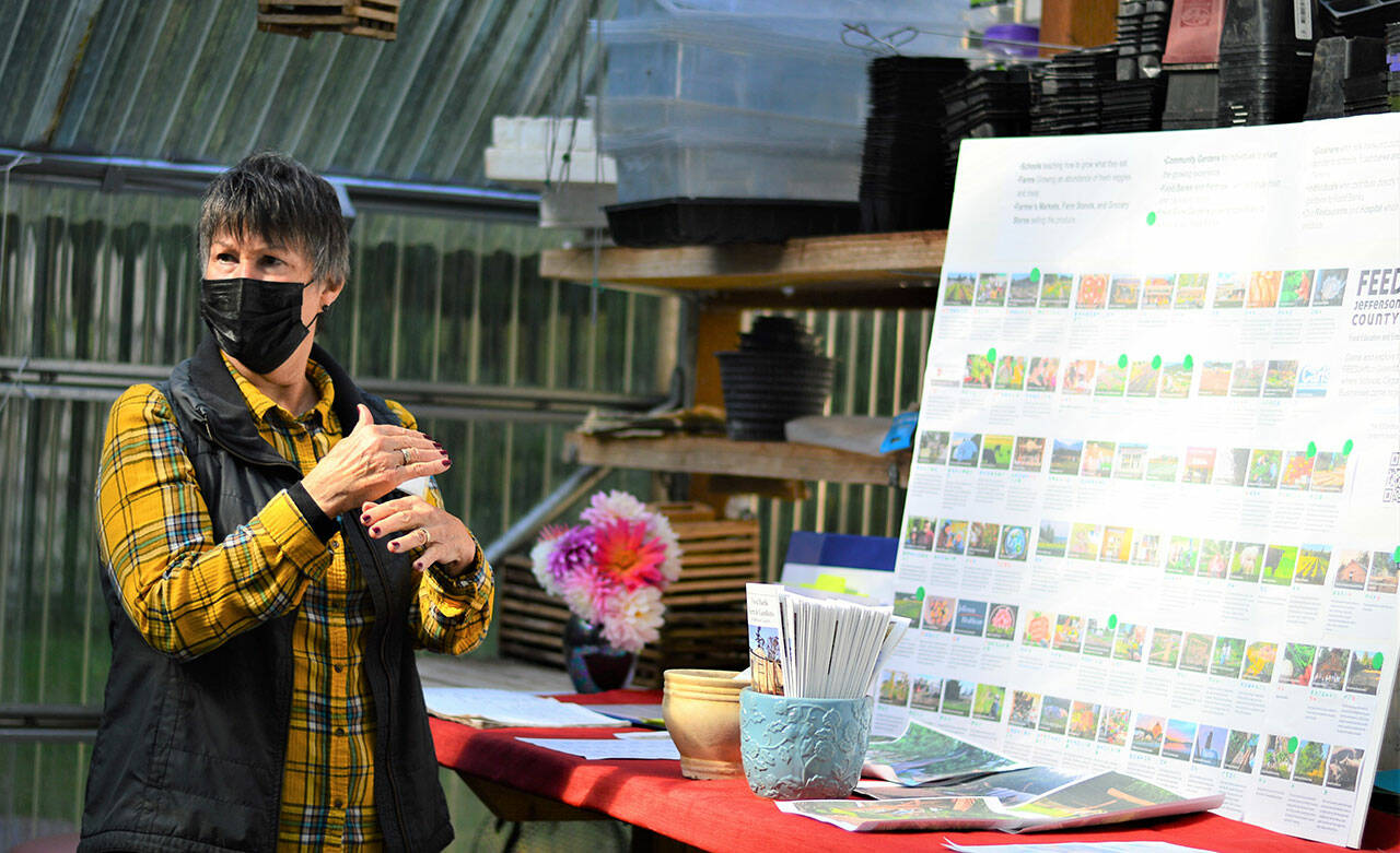 Mary Hunt shows the Feed Jefferson County board to visitors inside the tomato greenhouse at the Raincoast Farms Food Bank Garden on Saturday. The Port Townsend operation is one of seven stops on the Jefferson County Farm Tour, which continues today. (Diane Urbani de la Paz/Peninsula Daily News)