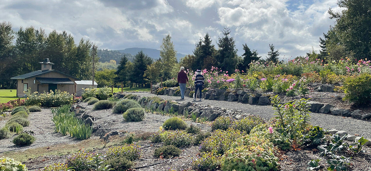 A small break in rain was all it took to bring Sequim residents out into the sunshine on Saturday. Taking advantage of the good weather, many spent their time during the last weekend of the summer outdoors before fall officially begins Wednesday. More rainfall is expected today as a storm crosses the North Olympic Peninsula. (Scott Gardinier/Peninsula Daily News)