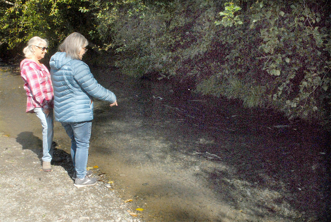 Donna Jones, left, and Penny Smith, both of Sequim, peer into a heavily shaded side channel of the Dungeness River as hundreds of salmon hide in the shadows to spawn on Thursday at Railroad Bridge Park in Sequim. (Keith Thorpe/Peninsula Daily News)