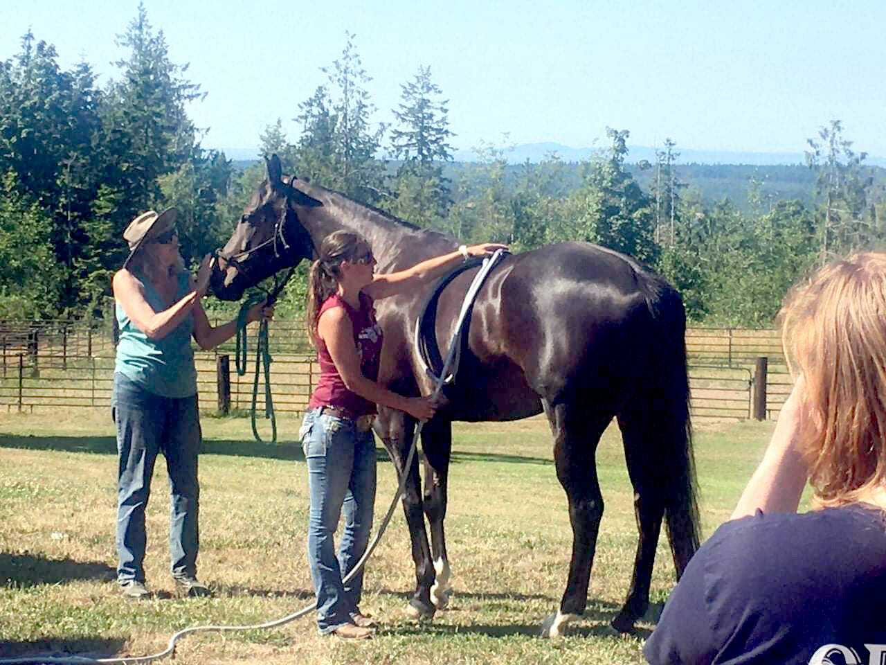 To promote healing of an injury, Dayna Killam performs pulsed electromagnetic field therapy on Nova, a horse owned by Lori Colson George, during an Olympic Peninsula Equine Network fundraising event held at Layton Hill Horse Camp in Sequim. (Karen Griffiths/for Peninsula Daily News)