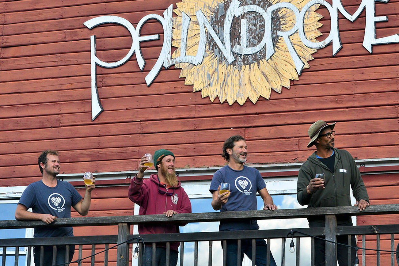 Taking a break from setting up for the Olympic Peninsula Apple & Cider Festival, four Production Alliance crew members — from left, Danny Milholland, Shane Parish, Larry Lawrence and Damon Barlow — look out over the orchard at Eaglemount Winery-Cidery of Port Townsend. (Diane Urbani de la Paz/Peninsula Daily News)