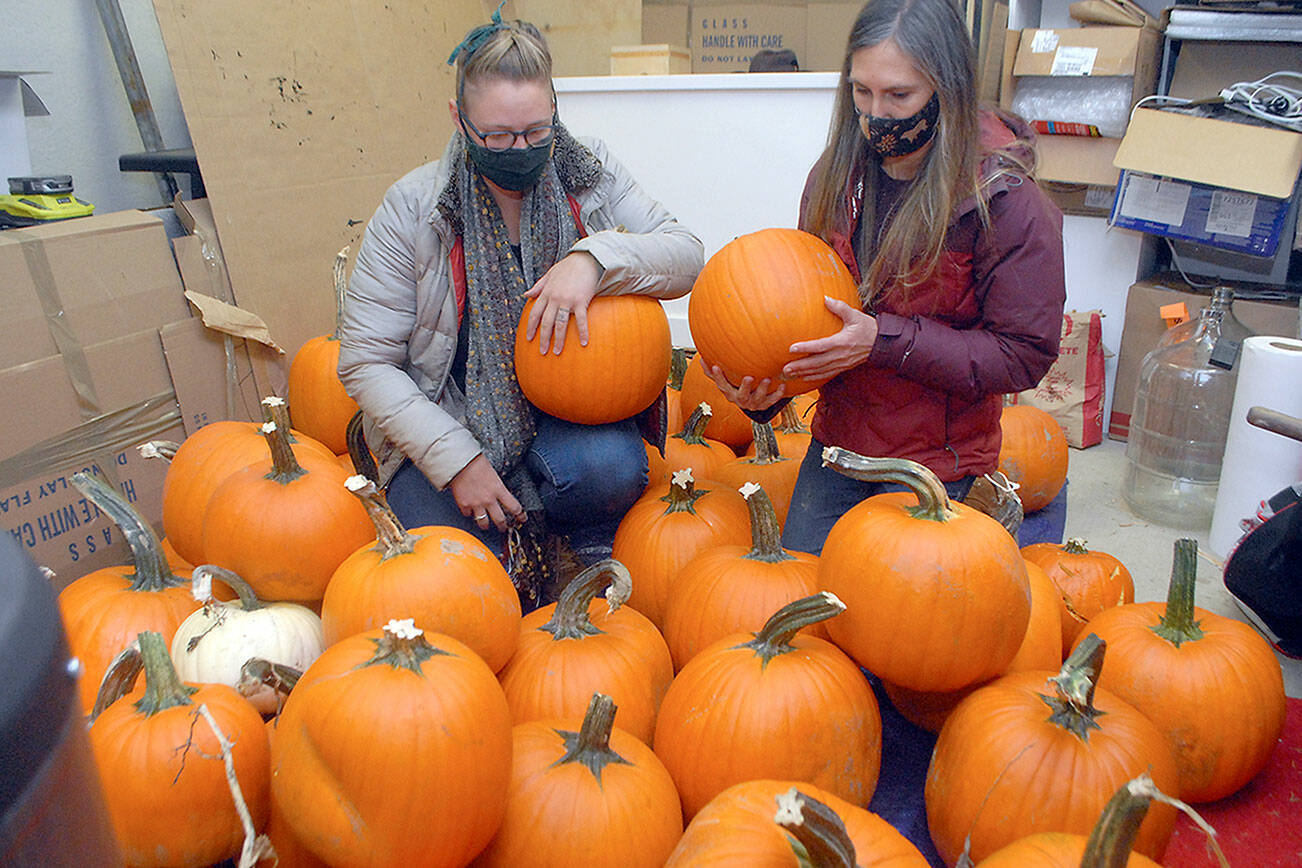 Keith Thorpe/Peninsula Daily News
Rachel Storck, community outreach coordinator for the Port Angeles Fine Arts Center, left, and executive director Christine Loewe look over pumpkins to be available for carving during this weekend's Celebration of Shadows Fall Festival.