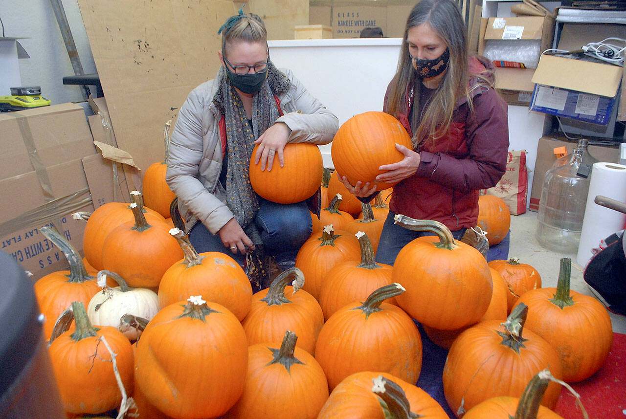Rachel Storck, community outreach coordinator for the Port Angeles Fine Arts Center, left, and executive director Christine Loewe look over pumpkins to be available for carving during this weekend’s Celebration of Shadows Fall Festival. (Keith Thorpe/Peninsula Daily News)