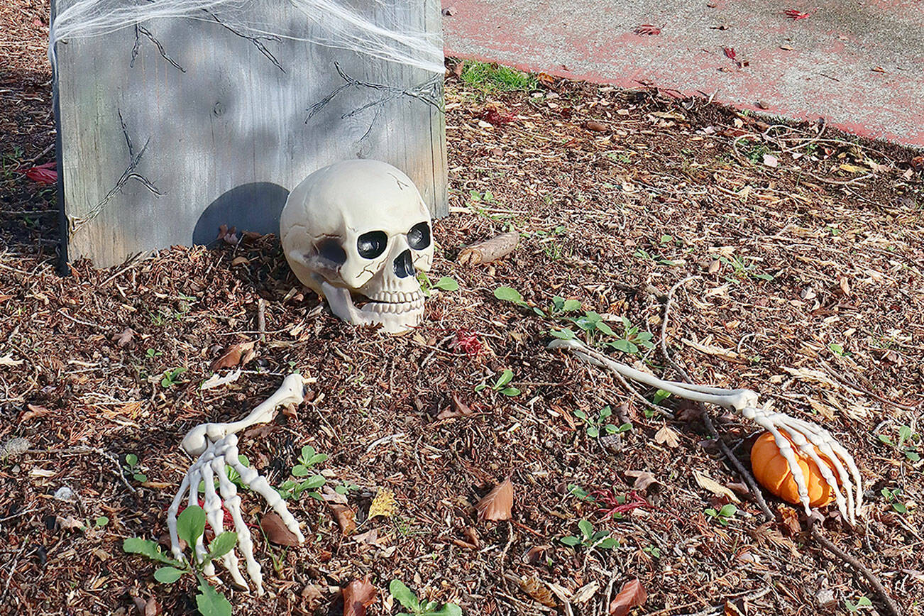 This Halloween display is at 229 West 9th in Port Angeles.