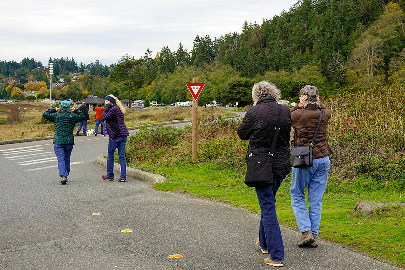 A group of friends on a walk at Fort Worden State Park on Thursday hold their ears to muffle the loud siren noise from the tsunami warning device going off during the Great ShakeOut drill. Friends, family and co-workers were supposed to practice movements to drop, cover and hold on to build muscle memory to be prepared for an earthquake. (Steve Mullensky/for Peninsula Daily News)