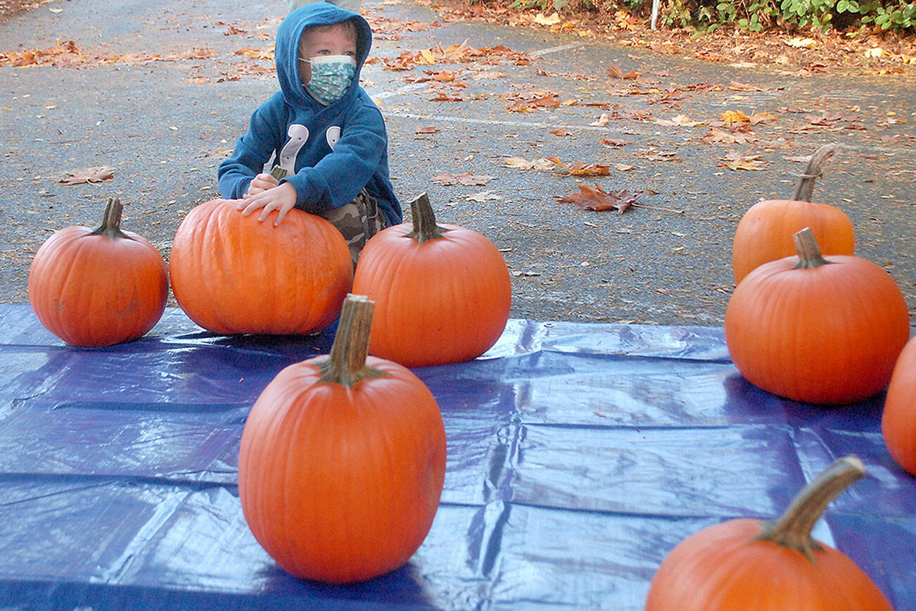 Keith Thorpe/Peninsula Daily News
Six-year-old Rocky Bright of Port Angeles picks his pumpkin at the start of a pumpkin carving workshop hosted by the Port Angeles Fine Arts Center on Saturday. The event was part of the center's Celebration of Shadows Fall Festival, which included carved pumpkin judging, a shadow puppet theater workshop and the "Chasing Shadows" gallery show.