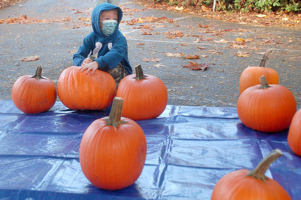 Rocky Bright, 6, of Port Angeles picks his pumpkin at the start of a pumpkin carving workshop hosted by the Port Angeles Fine Arts Center on Saturday. The event was part of the center’s Celebration of Shadows Fall Festival, which included carved pumpkin judging, a shadow puppet theater workshop and the “Chasing Shadows” gallery show. (Keith Thorpe/Peninsula Daily News)