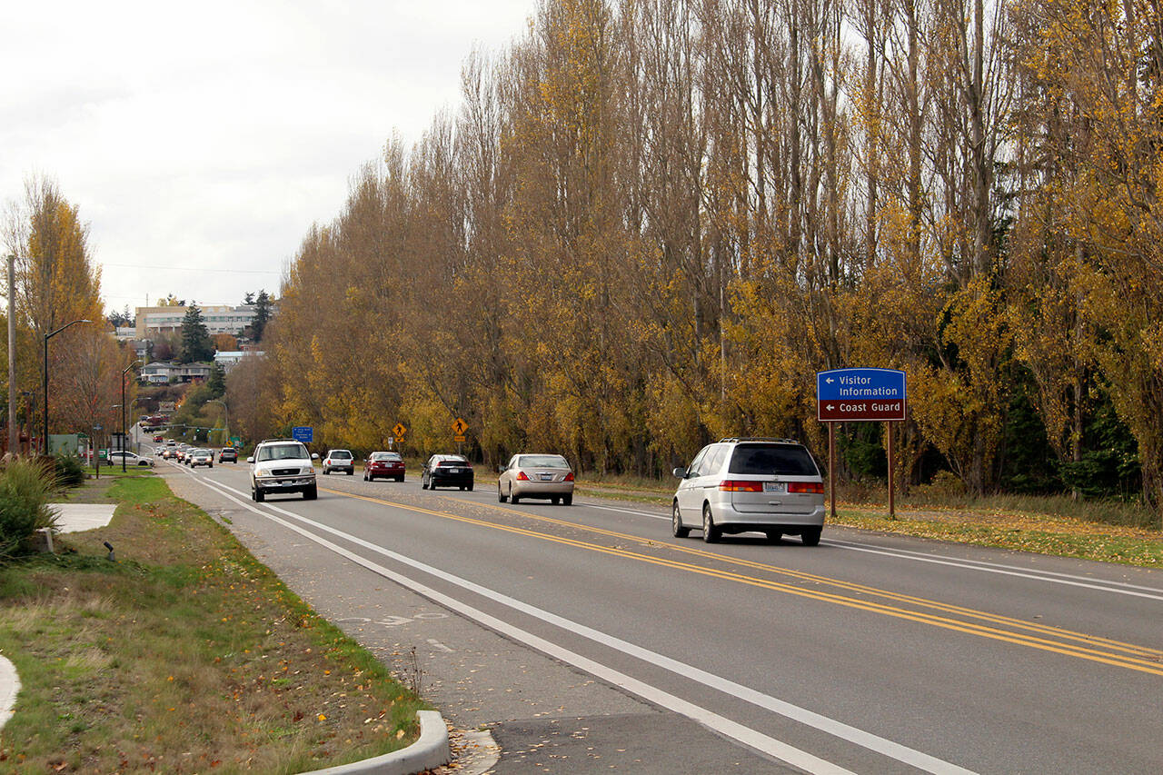 Officials with the City of Port Townsend, the Jefferson County Public Utility District and the Port of Port Townsend will be conducting a joint Town Hall meeting on Nov. 9 to discuss the removal of the iconic poplar trees along Sims Way in Port Townsend. (Zach Jablonski/Peninsula Daily News)