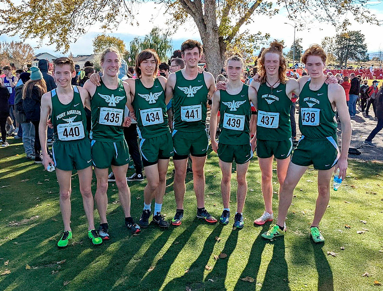 The Port Angeles boys cross-country team finished fifth in the state at the 2A state championships Saturday. From left, are Langdon Larson, Josh Gavin, Max Baeder, Naaman McGuffey, Kowen Kasten, Jack Gladfelter and Jason Gladfelter. (Photo courtesy of Rodger Johnson)
