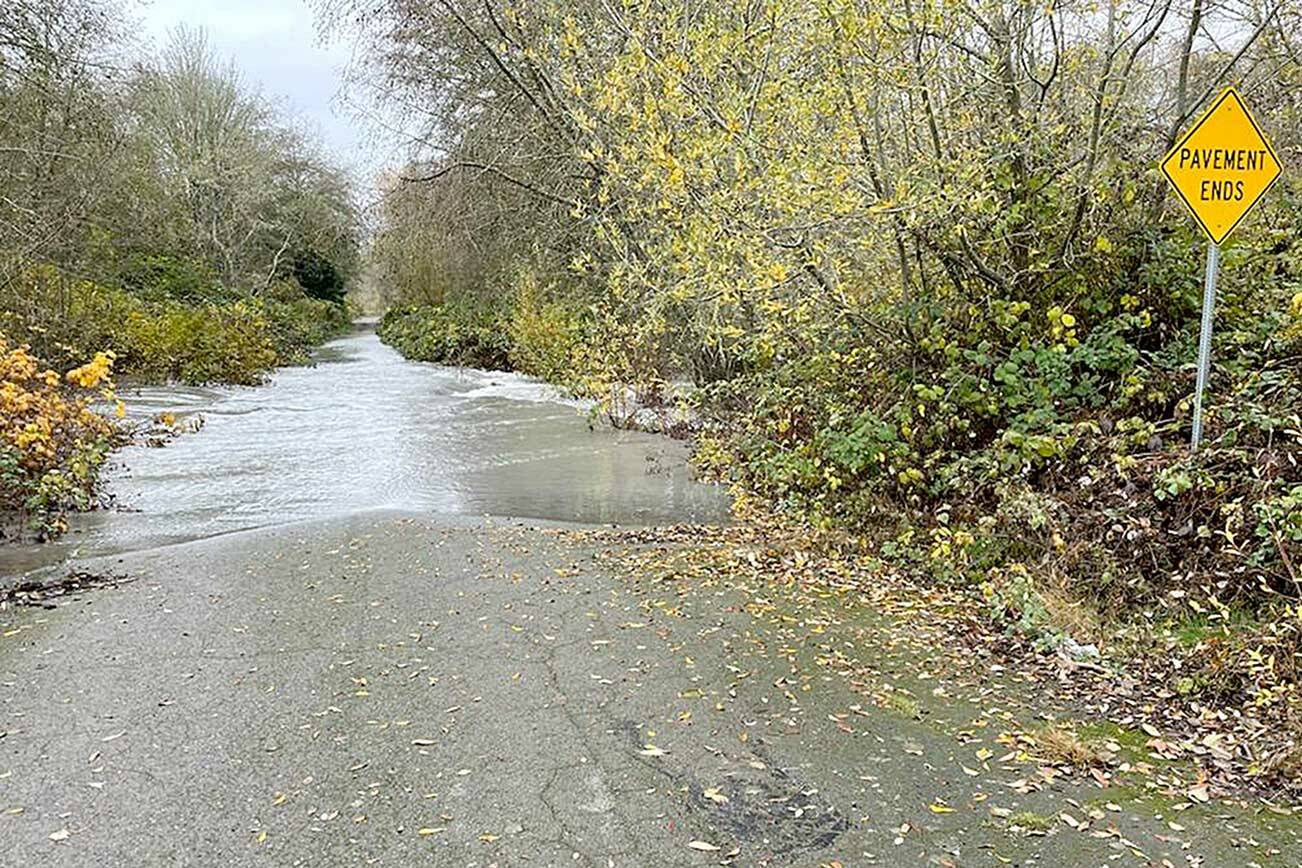 The Elwha River breached its banks by Sunday morning at the end of Lower Elwha Road after recent heavy rain. The weather forecast calls for more rain Monday morning before a possibility of some clearing and sunshine on Tuesday. (Paul Gottlieb/Peninsula Daily News)