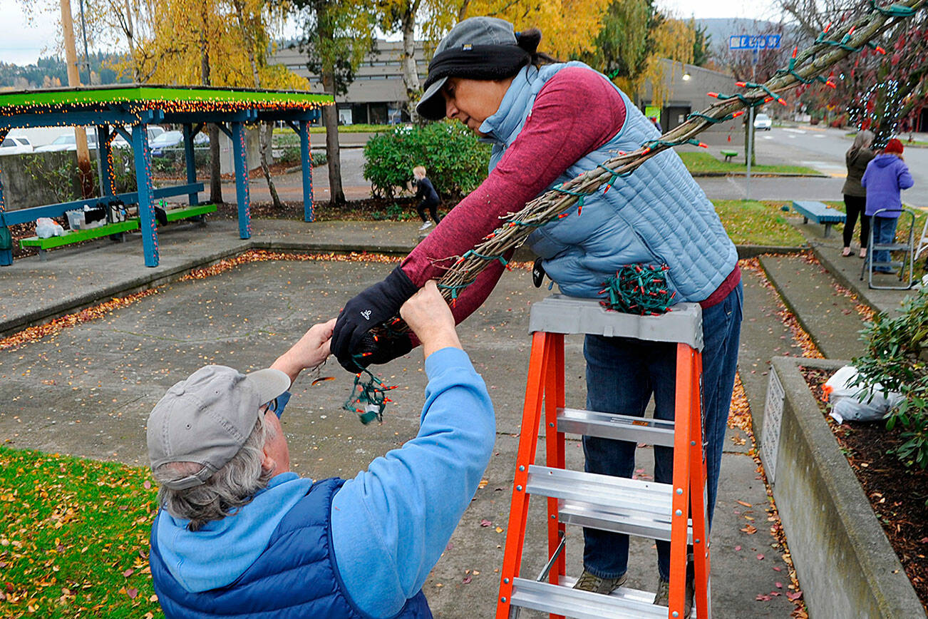 Mike and Ester De Weese of Sequim help each other wrap a tree branch in Christmas lights on Nov. 13 by 1st Security Bank. (Matthew Nash/Olympic Peninsula News Group)