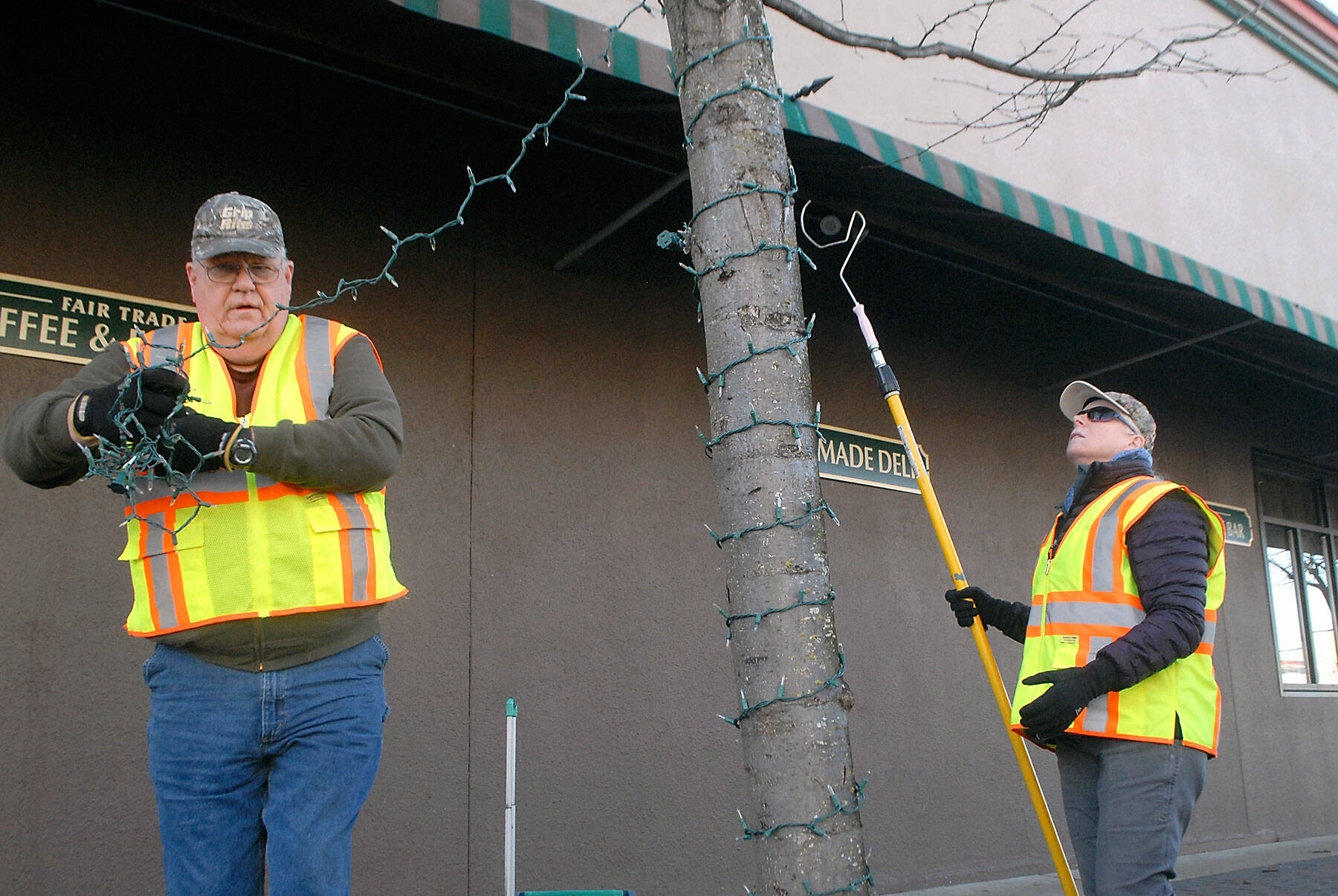 David and Carla Sue, members of the Olympic Kiwanis Club, string Christmas lights on a curbside tree in the 200 block of West First Street in downtown Port Angeles on Saturday. The service club was given the task of adorning trees in the downtown area with strings of lights supplied by the Port Angeles Downtown Association. (Keith Thorpe/Peninsula Daily News)