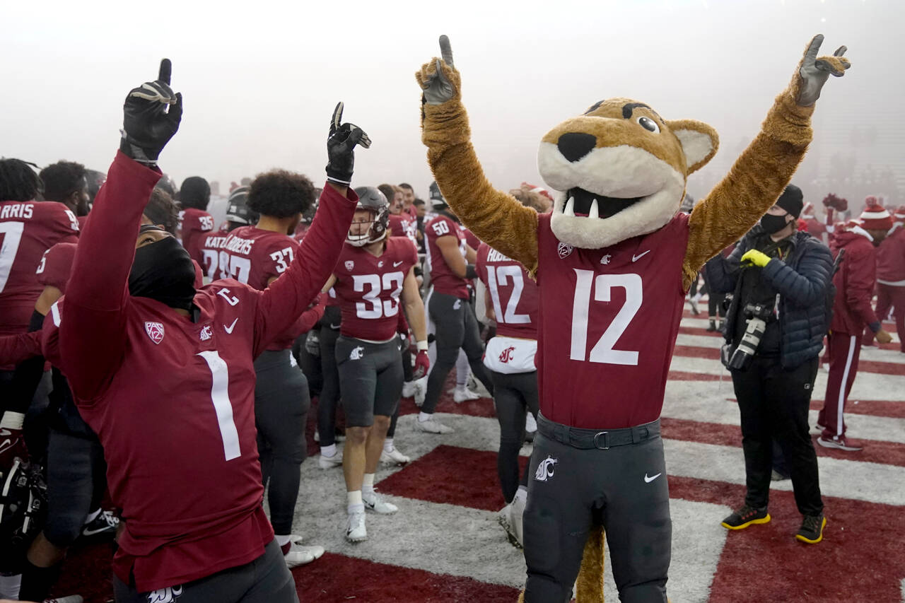 Butch, the Washington State Cougars mascot, celebrates with players after a win over Arizona on Nov. 19 in Pullman. Washington State won 44-18 and became bowl eligible. (AP Photo/Ted S. Warren)