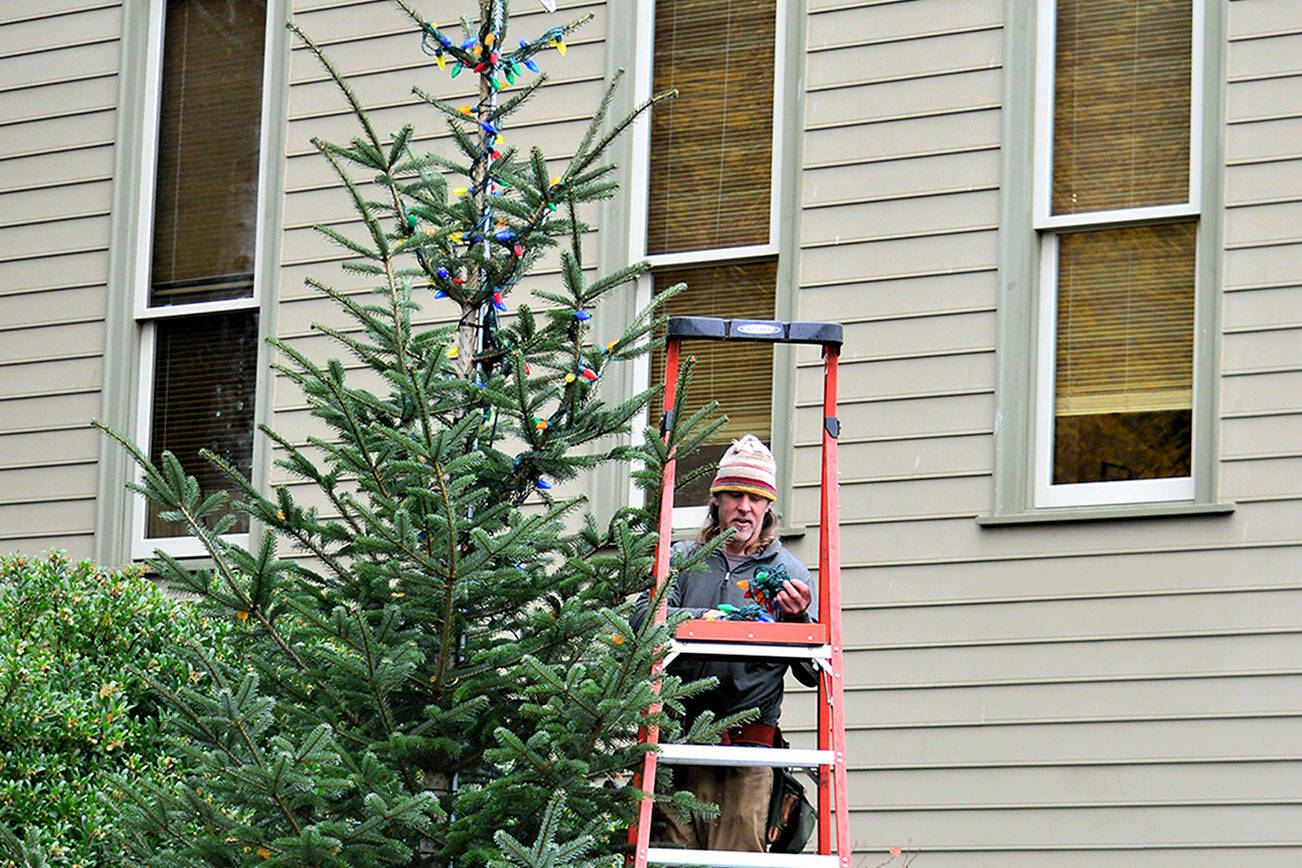 Chris Kauffman ascends a ladder to string lights on downtown Port Townsend’s 16-foot Christmas tree Tuesday morning while Ted Krysinski of Fyrelite Grip & Lighting prepares some of the 2,800 LED bulbs that will decorate the Haller Fountain plaza. (Diane Urbani de la Paz/Peninsula Daily News)