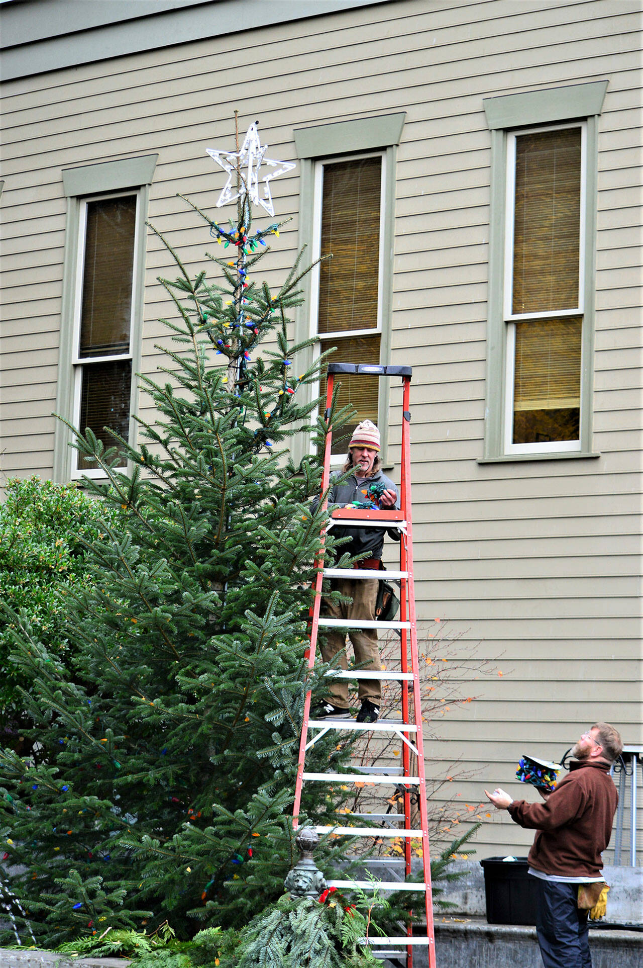 Chris Kauffman ascends a ladder to string lights on downtown Port Townsend’s 16-foot Christmas tree Tuesday morning while Ted Krysinski of Fyrelite Grip & Lighting prepares some of the 2,800 LED bulbs that will decorate the Haller Fountain plaza. (Diane Urbani de la Paz/Peninsula Daily News)