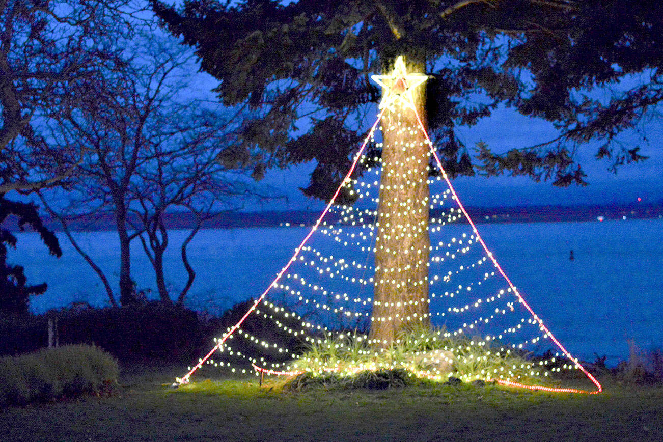 The neighbors near Chetzemoka Park in Port Townsend collaborate to put up a public Christmas tree every year. Its lights are visible from Lawrence Street as one approaches Jackson Street, while Admiralty Inlet provides the background. (Diane Urbani de la Paz/Peninsula Daily News)