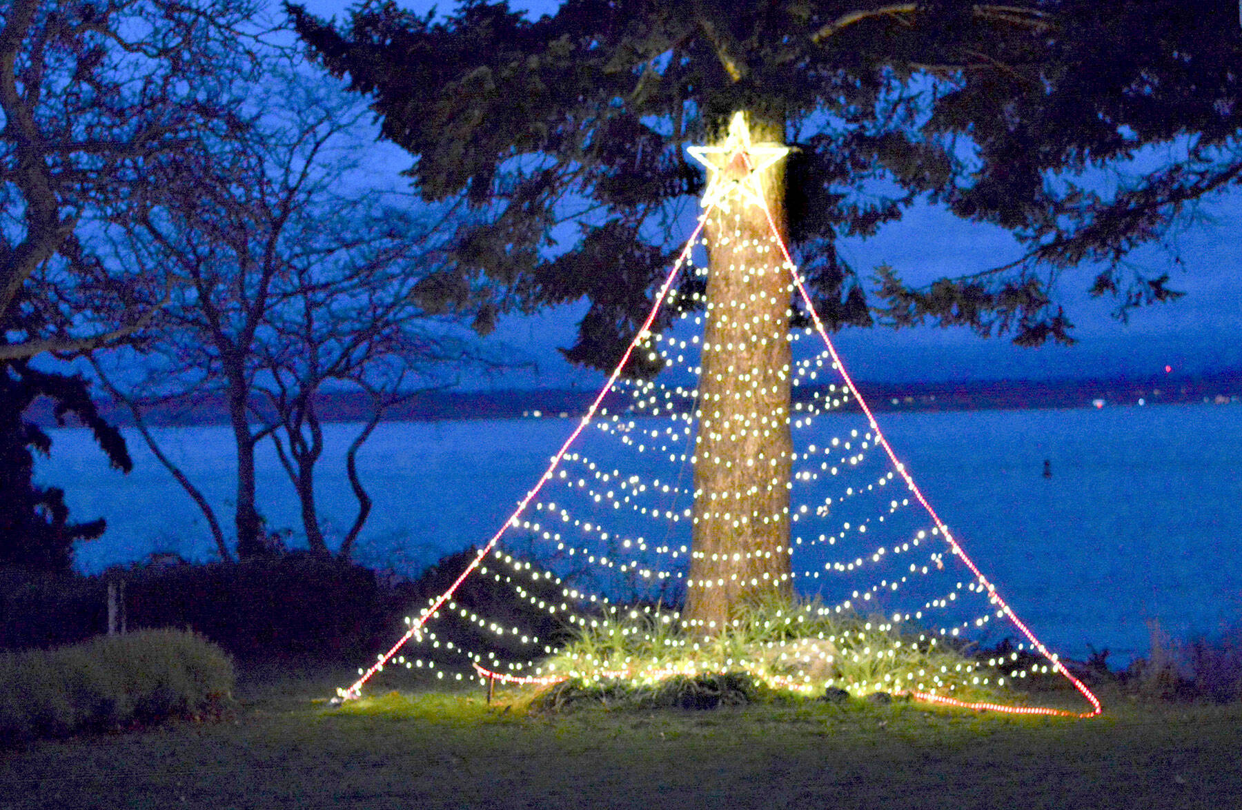 The neighbors near Chetzemoka Park in Port Townsend collaborate to put up a public Christmas tree every year. Its lights are visible from Lawrence Street as one approaches Jackson Street, while Admiralty Inlet provides the background. (Diane Urbani de la Paz/Peninsula Daily News)