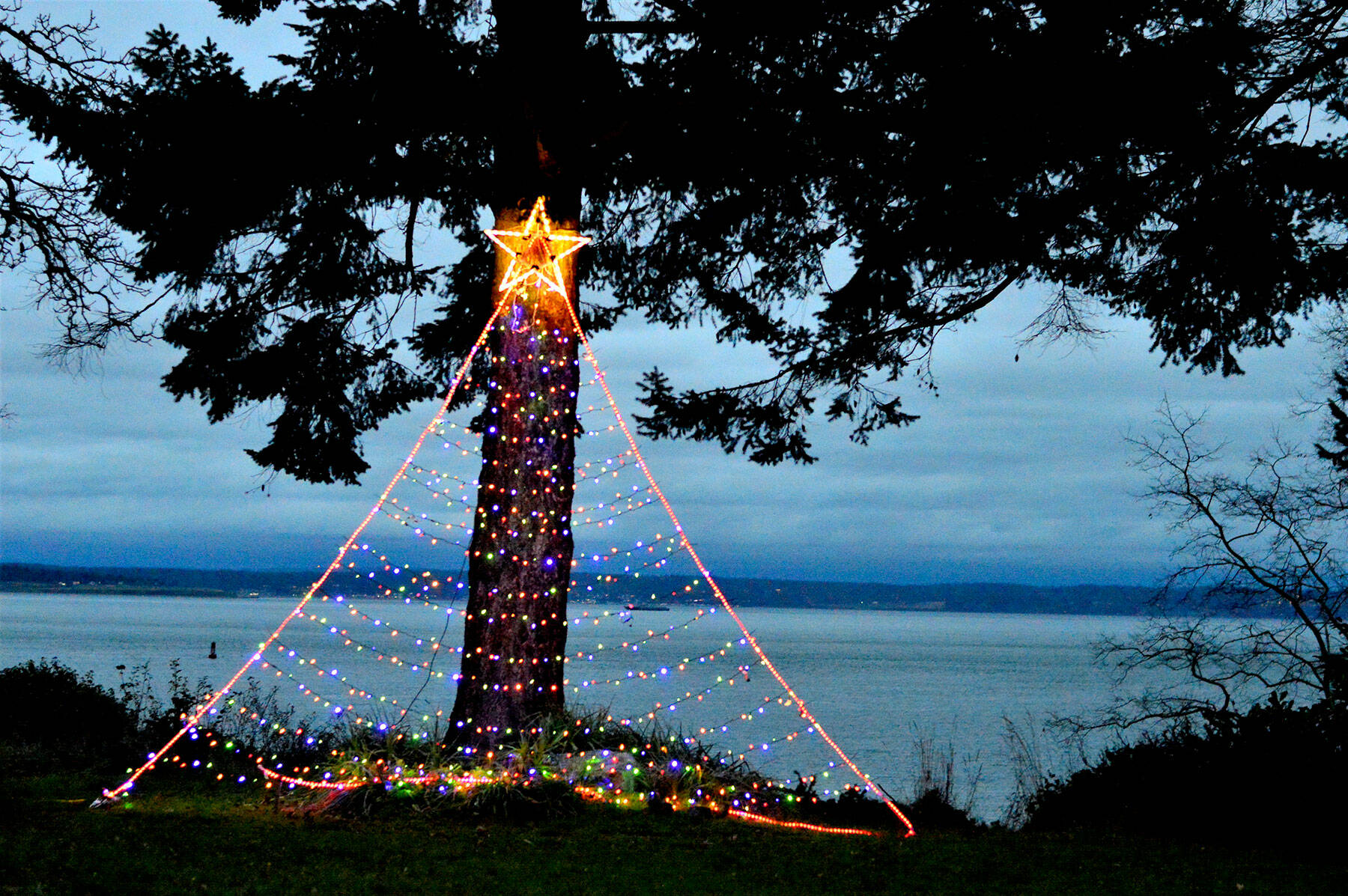 The neighbors near Chetzemoka Park in Port Townsend collaborate to put up a public Christmas tree every year. Its lights are visible from Lawrence Street as one approaches Jackson Street, while Admiralty Inlet provides the background. (Diane Urbani de la Paz/Peninsula Daily News)