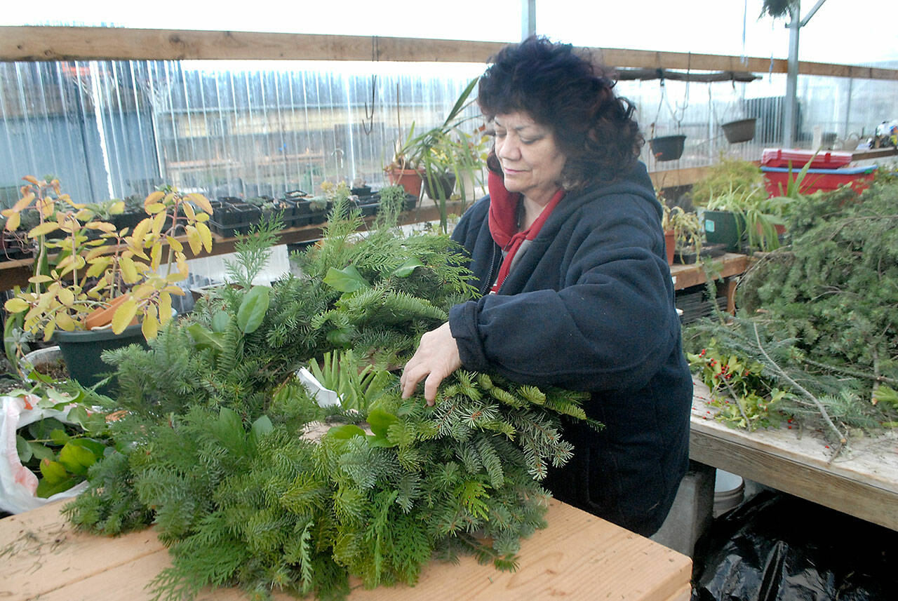 Yvette Two Rabbits of Port Angeles, a volunteer with The Answer for Youth (TAFY), creates a holiday wreath in the organization’s Port Angeles greenhouse. TAFY is selling wreaths with proceeds going to support its homeless youth programs. In addition, the group is conducting a silent auction of Christmas trees and other gift items through Dec. 17 as a fundraiser in the Sprouting Hope Greenhouse, 826 E. First St. (Keith Thorpe/Peninsula Daily News)