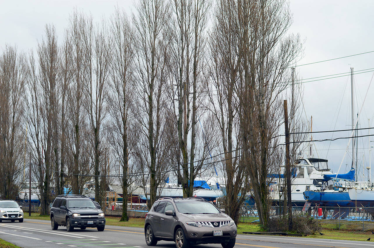 The Lombardy poplars, power lines and boat masts along the Sims Way entrance to Port Townsend don’t mix, city officials said in a town-hall meeting this past week. (Diane Urbani de la Paz/Peninsula Daily News)