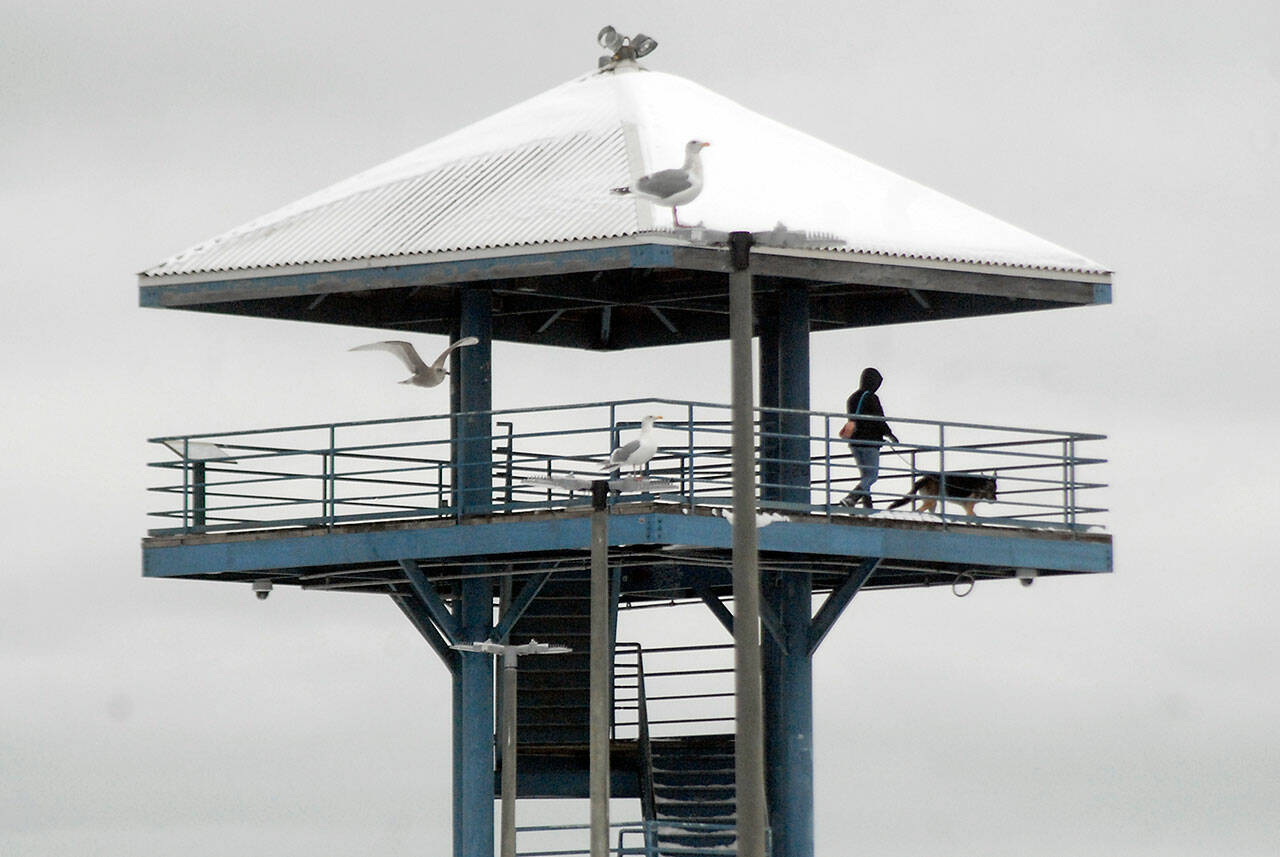 Snow covers the top of the observation tower at Port Angeles City Pier on Tuesday as a person and their dog enjoy the chilly view. (Keith Thorpe/Peninsula Daily News)