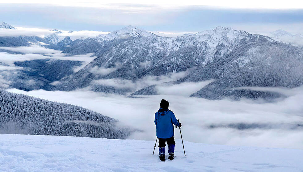 A visitor to Hurricane Ridge pauses to take in the expanse of mountain peaks apparently floating above the lowland clouds. (John Gussman)
