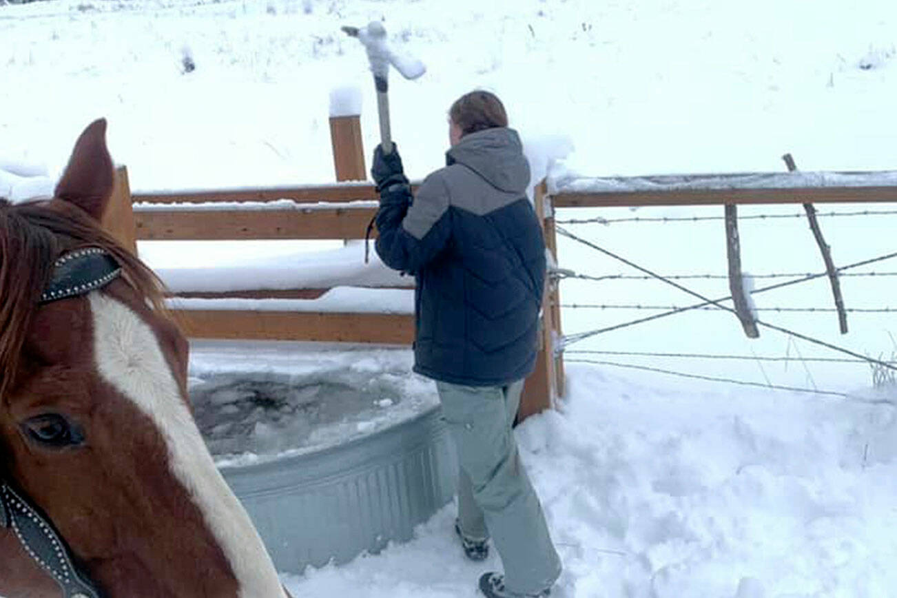 Photo by Jennifer Bond

 

Cutline: Knowing access to drinking water is vital to an animal’s health Lillian Bond uses a pick axe to break through the top layer of ice in her horse’s water trough.