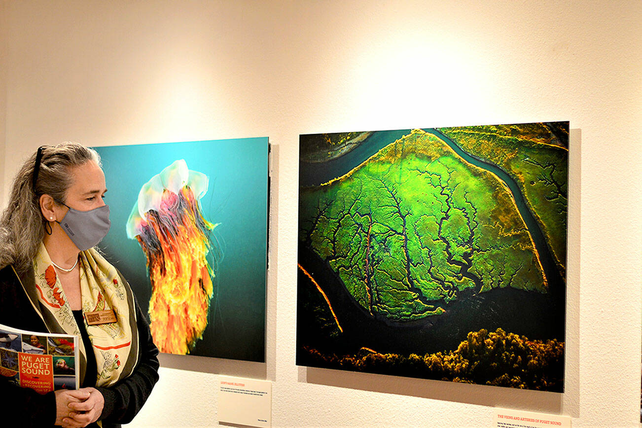 Port Townsend Marine Science Center Executive Director Janine Boire admires photos in "We Are Puget Sound," the free exhibition inside the Flagship Landing building at 1001 Water St. in downtown Port Townsend. Diane Urbani de la Paz/Peninsula Daily News