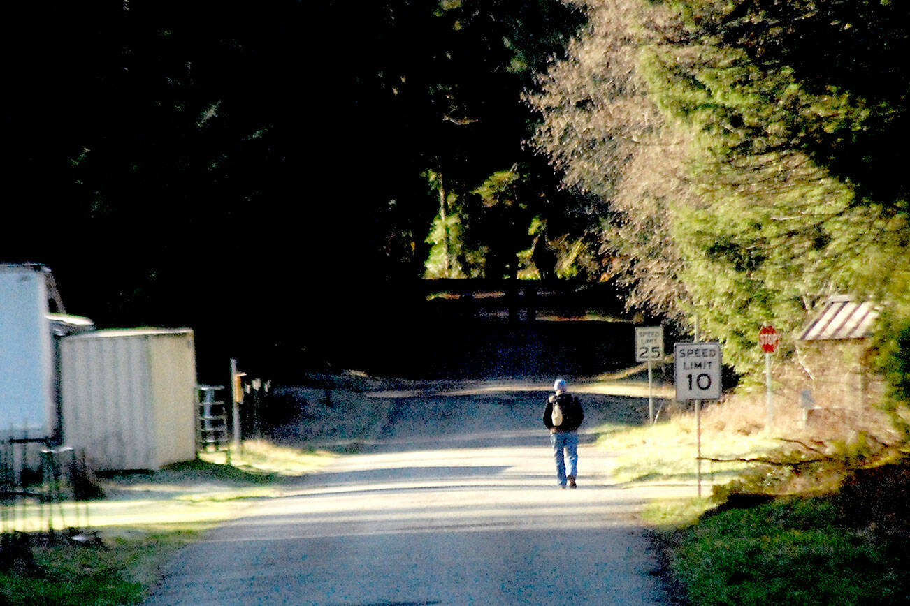 A hiker walks up Olympic Hot Springs Road in the Elwha Valley in Olympic National Park on Saturday. The road remains closed to vehicles just inside the park boundary after portions of it were destroyed by the river in 2015. (Keith Thorpe/Peninsula Daily News)