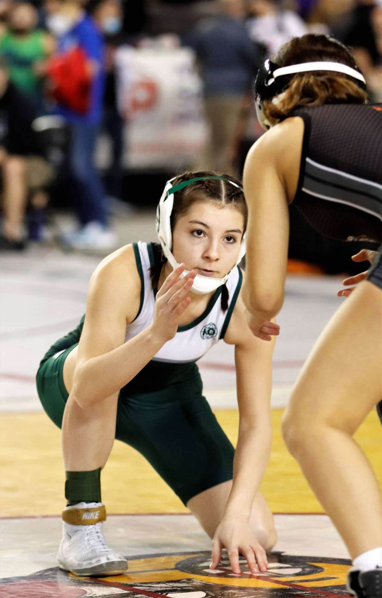 walvis single Verleiden MAT CLASSIC: Forks grapplers finish fourth in state; Queen a state champion  | Peninsula Daily News
