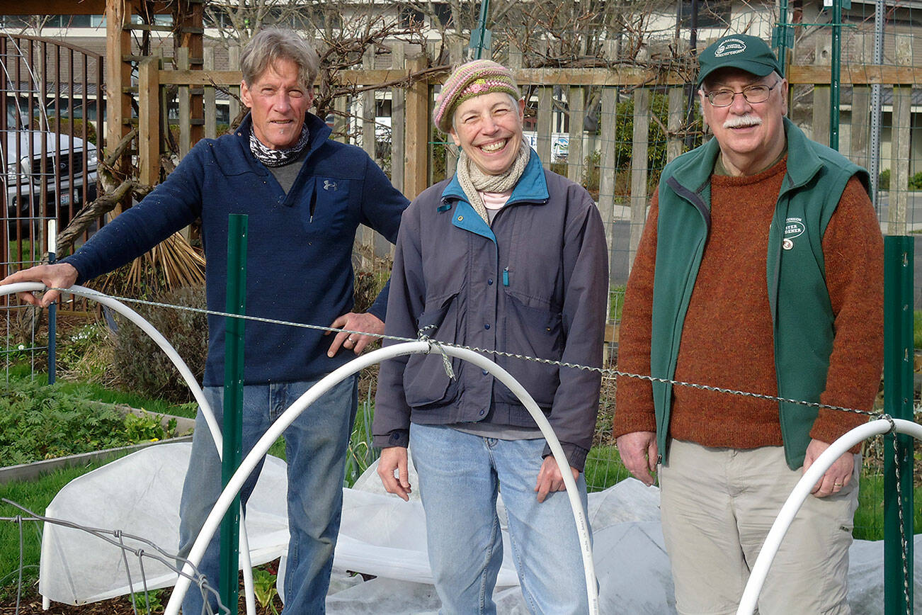 Master gardeners, from left to right, Gordon Clark, Jeanette Stehr-Green and Bob Cain, will answer gardening and landscape questions Saturday morning on Zoom.