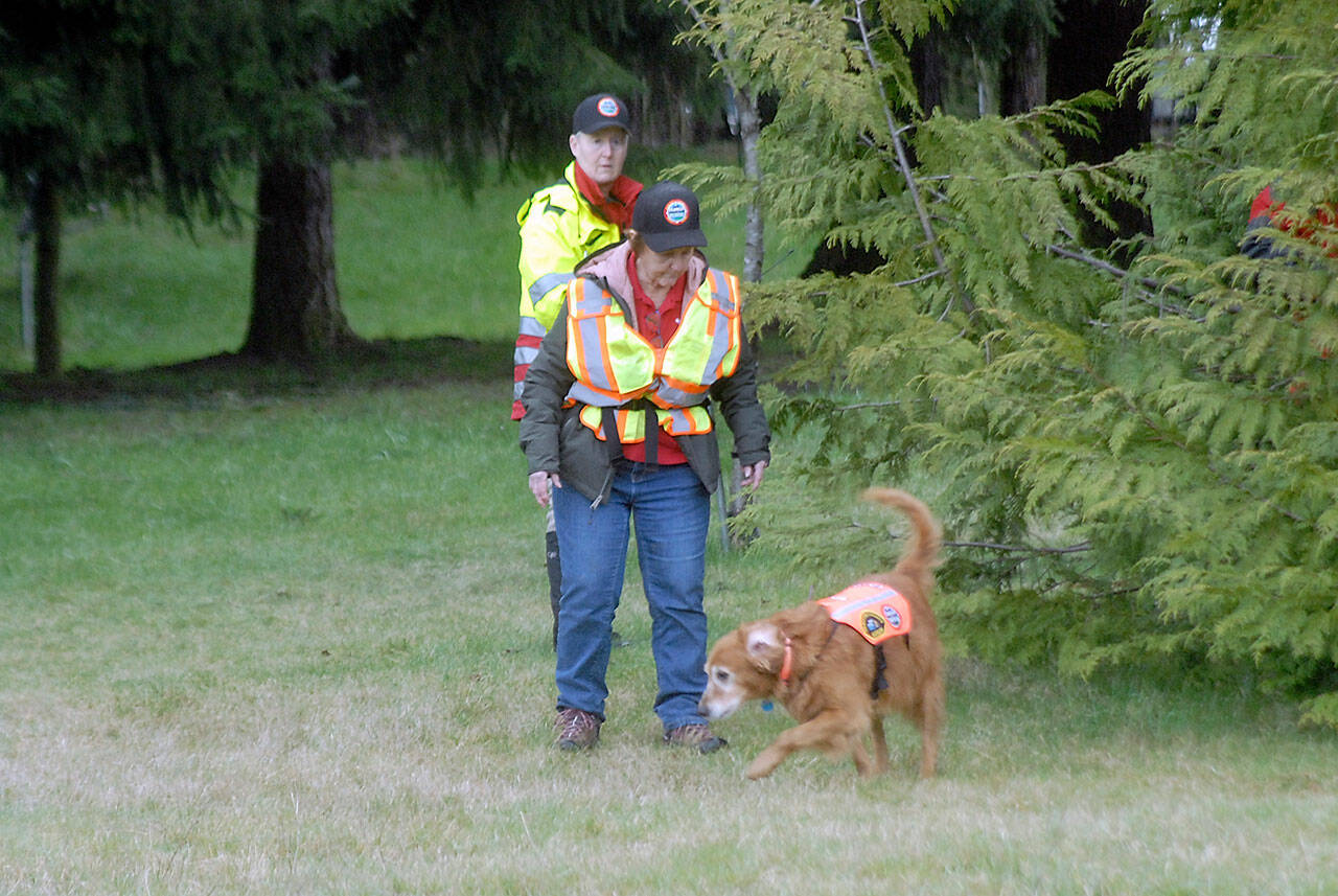Clallam County Search and Rescue members Norma Snelling and her search dog, Soda, front, and Kelly Thomas search for evidence on Friday at the scene of a Feb. 24 double homicide east of Port Angeles. (Keith Thorpe/Peninsula Daily News)