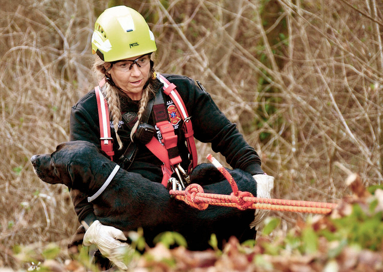 Clallam County Fire District 2 Firefighter/paramedic Margie Brueckner brings up a Black Labrador that had fallen over the side of an embankment at Lee’s Creek on Tuesday. She also retrieved the dog’s owner who had gone after the dog and then was unable to return. The owner had insisted the dog be carried to safety first. (Clallam County Fire District 2)