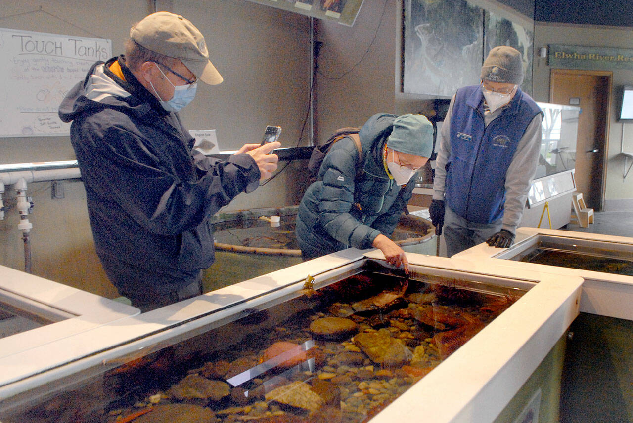 Steffen Goeber, left, takes a photo of his wife, Sabine Goeber, both of Halle, Germany, as she experience a touch tank during a mask-required session on Saturday a the Feiro Marine Life Center at Port Angeles City Pier. Looking on is Feiro volunteer Jim Jewell. (Keith Thorpe/Peninsula Daily News)