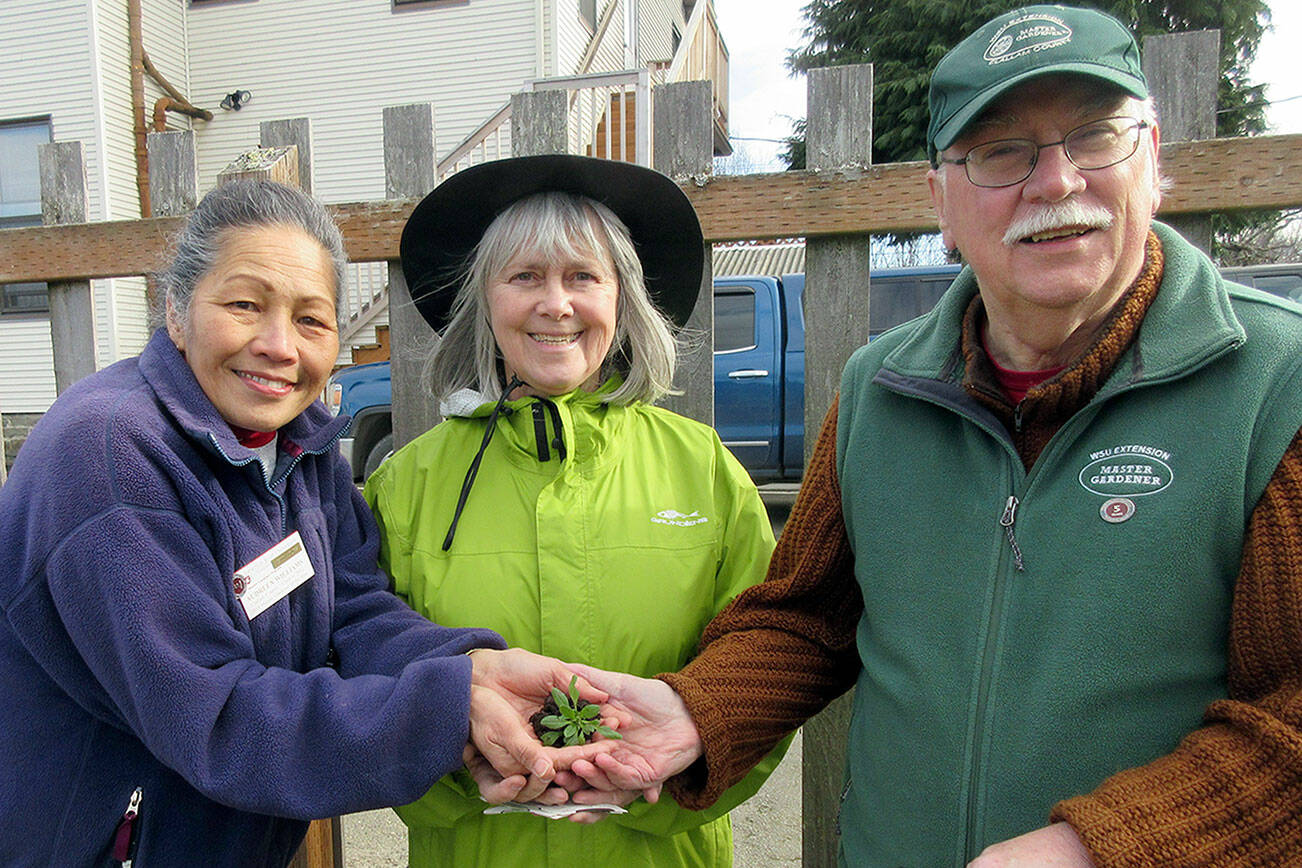 From left to right, Audreen Williams, Cindy Ericksen and Bob Cain will present “Getting Your Vegetable Garden Going” on Saturday.