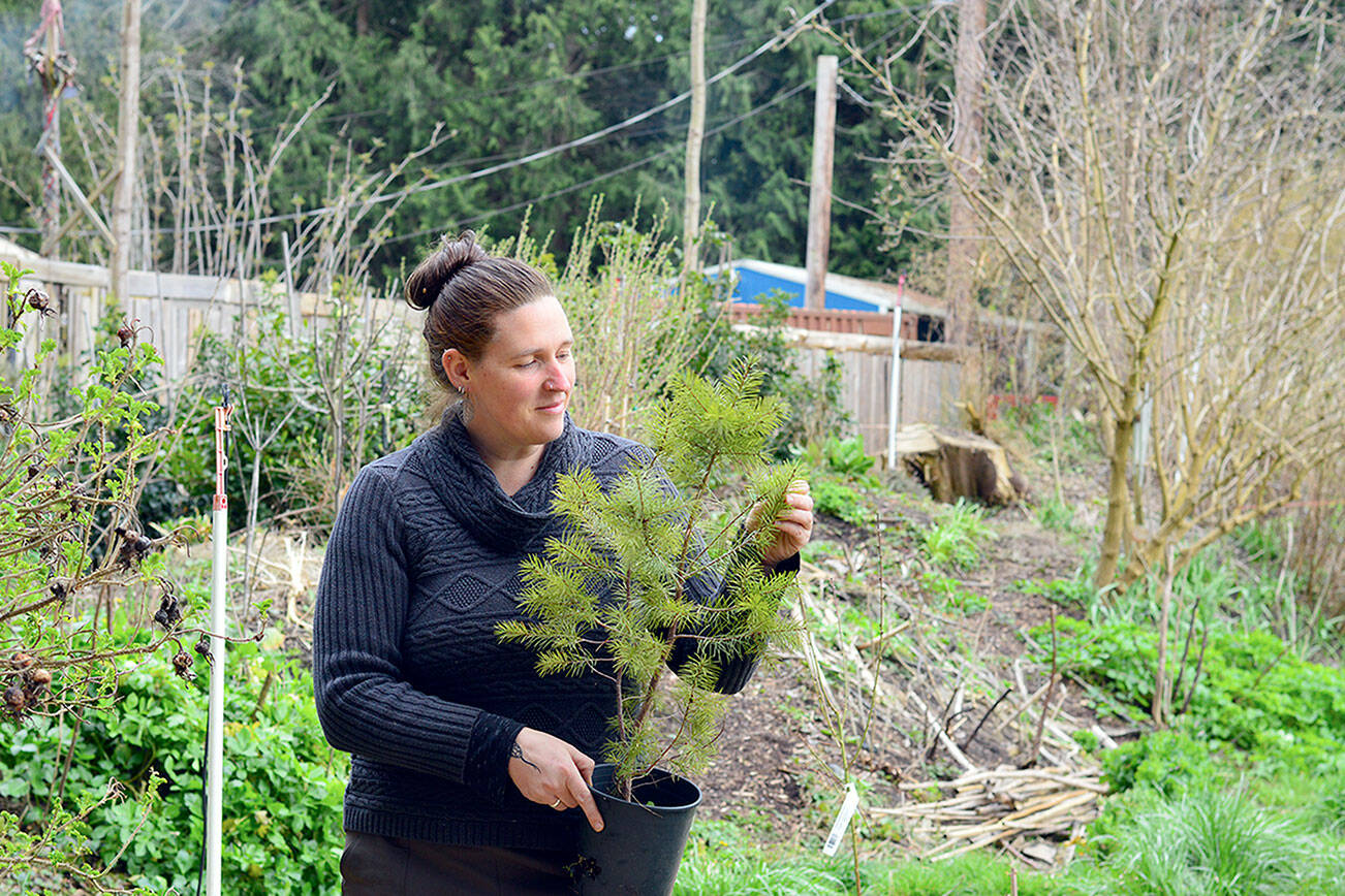 Jenniemae Hillyard, an organizer of the 11th annual Plant and Seed Exchange in Port Townsend, encourages gardeners to bring seeds, plant starts, bulbs and bare roots to the event Sunday. (Diane Urbani de la Paz/Peninsula Daily News)