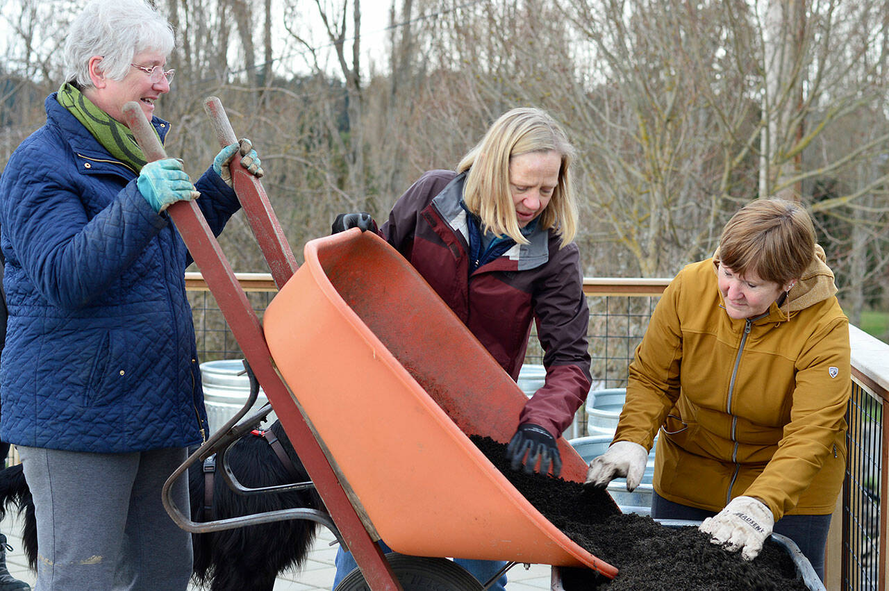 At the Recovery Cafe in Port Townsend, Nordland Garden Club members — from left, Alice Tibbals, Sandy Haynes and Leslie Watkins — established a new patio garden earlier this month. Its vegetables and berries will go into the free meals prepared in the cafe kitchen. (Diane Urbani de la Paz/Peninsula Daily News)