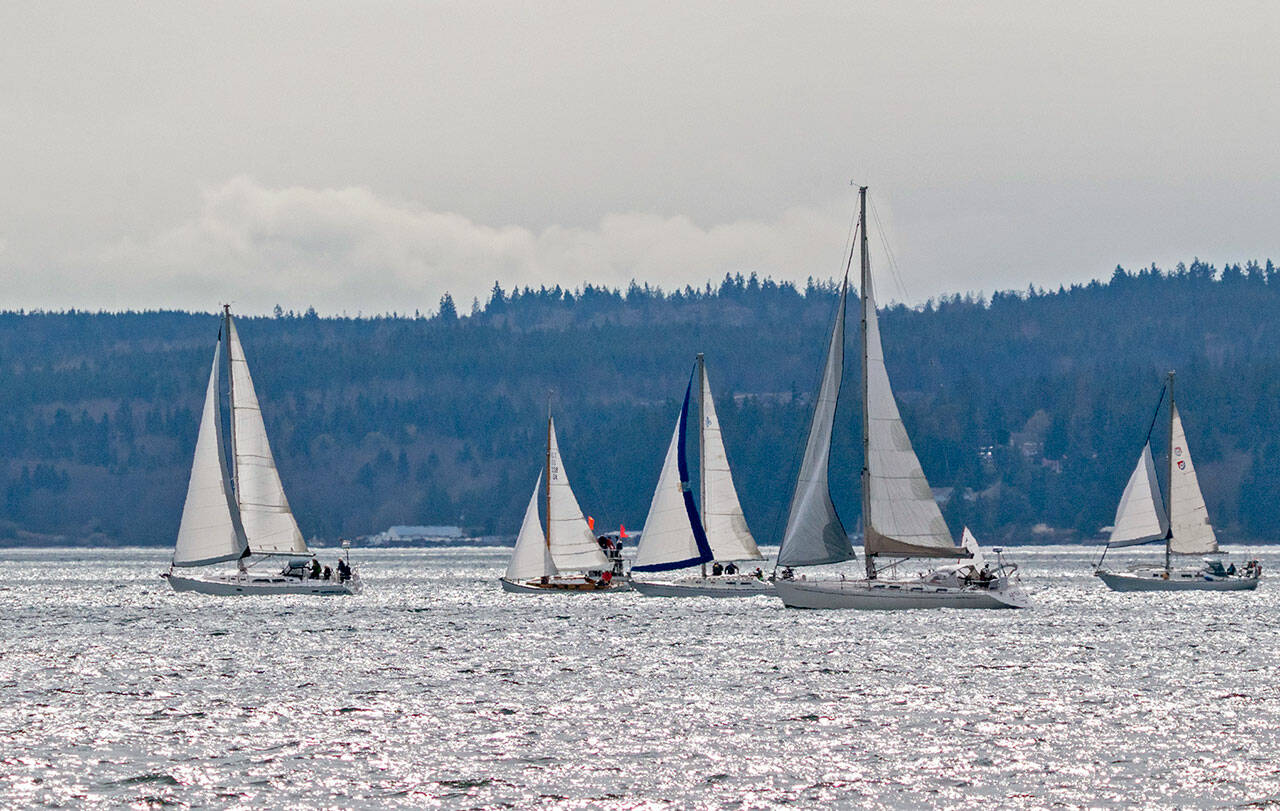 A line of sloops file past the committee boat, red flags, to start the 31st annual Shipwright’s Regatta on Port Townsend Bay on Saturday. The regatta, open to sailing boats of all sizes, is generally considered the official start of sailing season for Port Townsend mariners. (Steve Mullensky/For Peninsula Daily News)