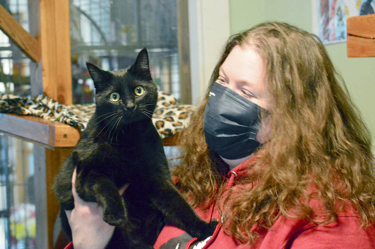 Zorro, a soon-to-be adopted resident at Center Valley Animal Rescue in Quilcene, allowed staff member Cody Maxwell to hold him while she spoke about the organization’s fundraising celebration this Saturday at Port Townsend’s Northwest Maritime Center. (Diane Urbani de la Paz/Peninsula Daily News)