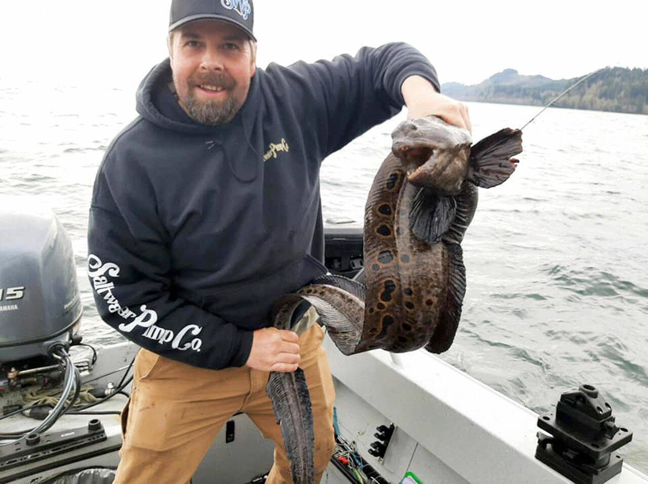 Marysville angler Nick VandenBosch caught this wolf eel, a member of the wolffish family, while fishing off of Neah Bay last weekend.