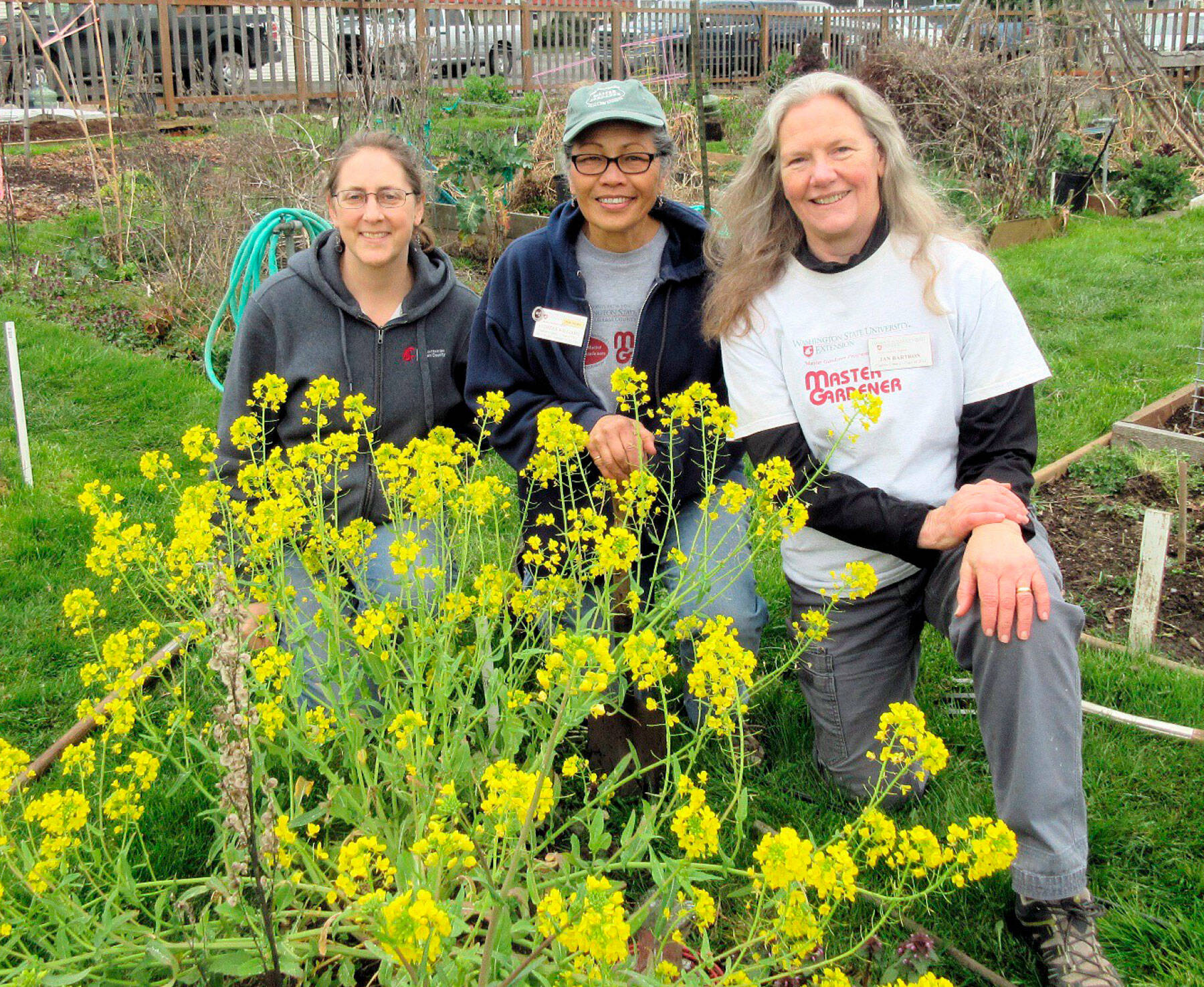 Laurel Moulton, left, Audreen Williams and Jan Barton will lead an educational walk through the Fifth Street Community Garden on Saturday in Port Angeles.