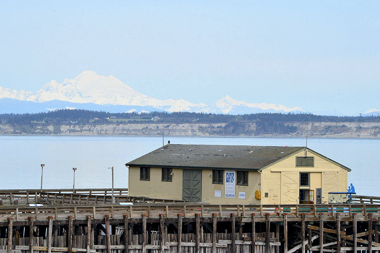 Mount Baker looms behind the Port Townsend Marine Science Center aquarium, now open for the season at Fort Worden State Park. (Diane Urbani de la Paz/Peninsula Daily News)