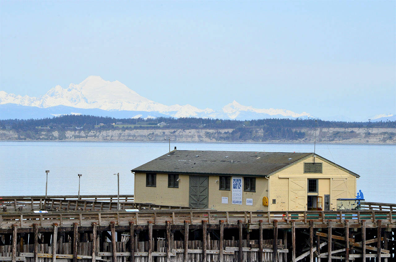Port Townsend Marine Science Center auction opens Friday | Peninsula ...