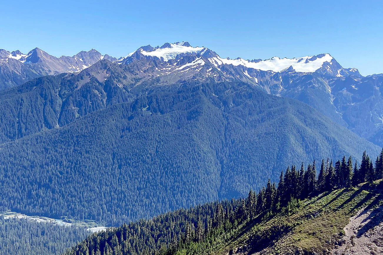 Peninsula Daily News

Mount Olympus in Olympic National Park, as seen from the High Divide trail in August 2020, could lose its glaciers by 2070 because of global warming.