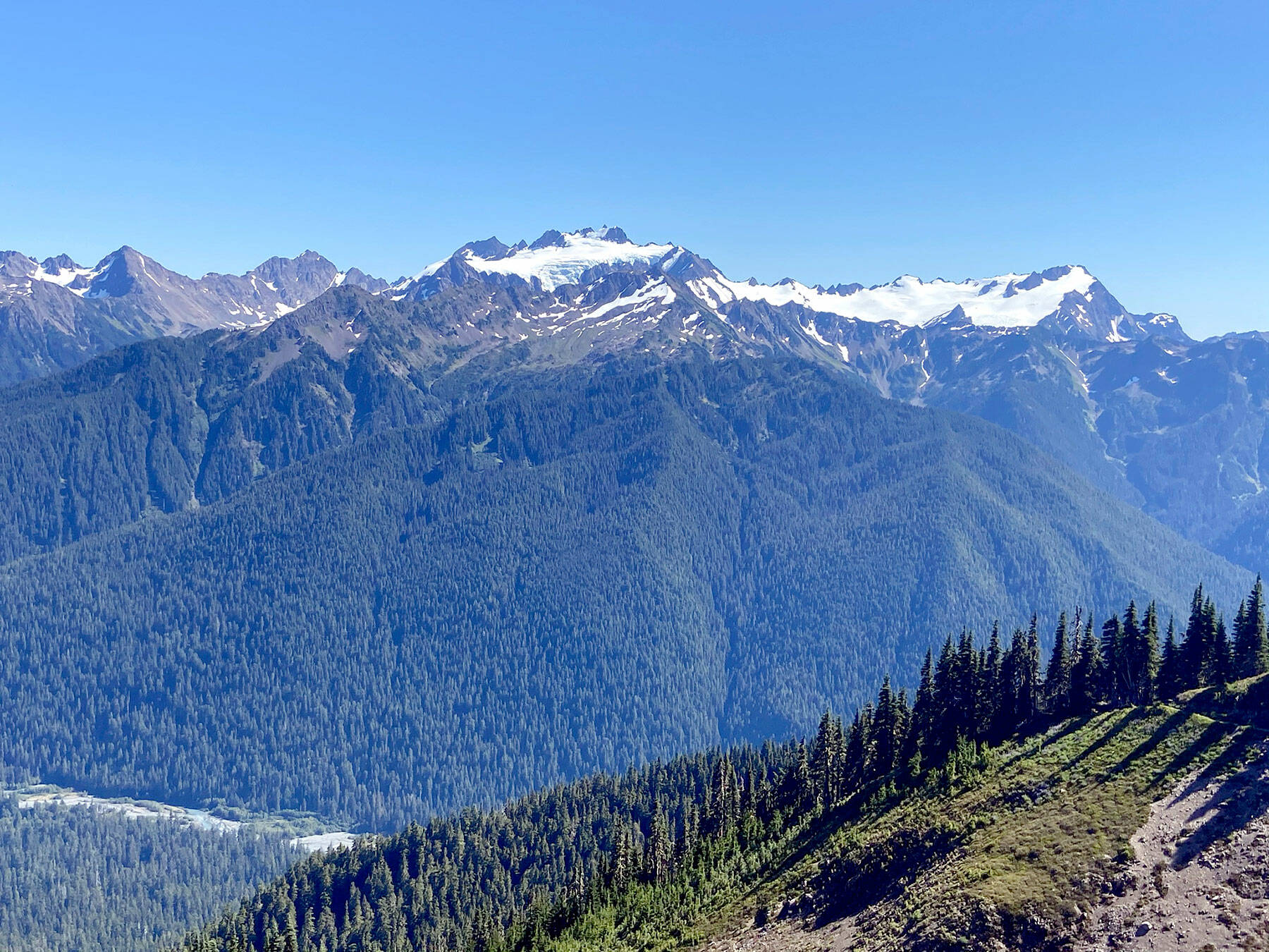 Mount Olympus in Olympic National Park, as seen from the High Divide trail in August 2020, could lose its glaciers by 2070 because of global warming. (Peninsula Daily News)