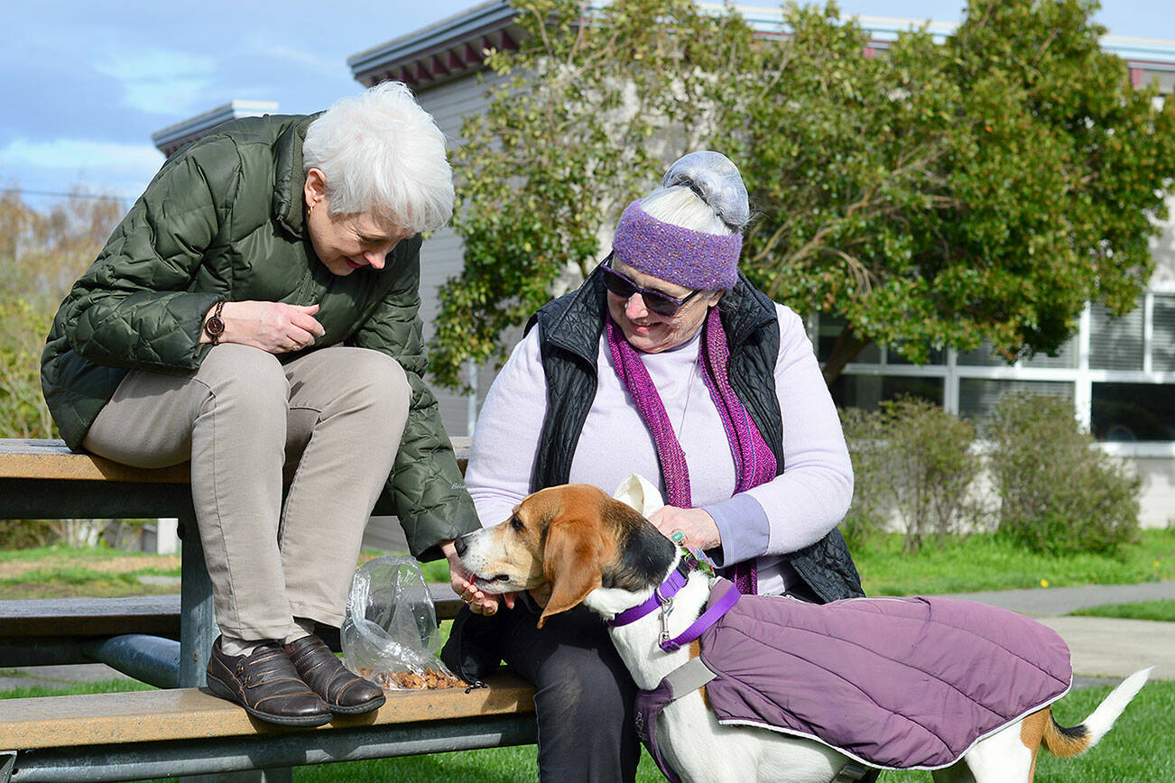 Pet Helpers volunteers Marla Tangen, left, and Lois Davis offer treats to Lady Bird, Davis’ dog. Tangen and Davis are helping organize the Pet Helpers yard sale later this month. (Diane Urbani de la Paz/Peninsula Daily News)