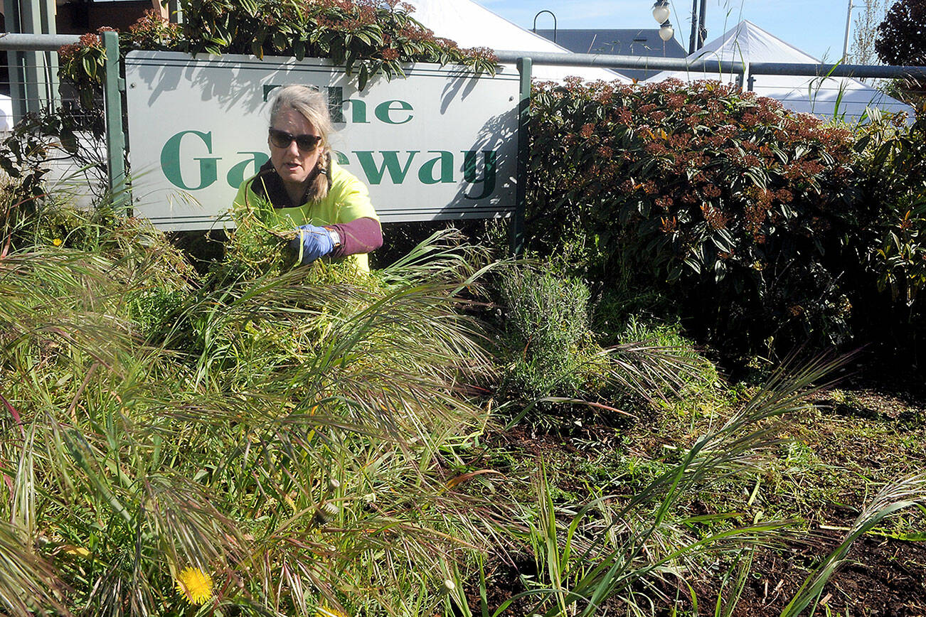 Keith Thorpe/Peninsula Daily News
Sharon Prosser, a board member for the Port Angeles Farmers Market, pulls weeds from the welcome sign at The Gateway transit center in downtown Port Angeles during Saturday's Big Spring Spruce Up. The second annual event saw teams cleaning around the downtown area in an activity hosted by ElevateLPA, the Port Angeles Regional Chamber of Commerce and the city of Port Angeles.