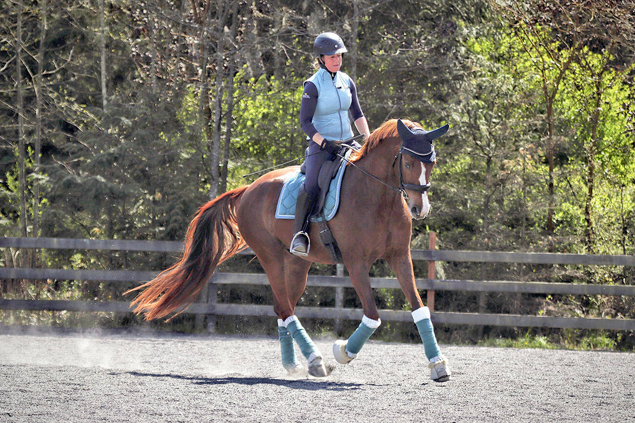 Courtesy of Hannah Grace
Congratulations to Heron Pond Farm owner/trainer Christine Headley, riding Gordy, for receiving The Dressage Foundation’s $1,000 grant from its Trip Harting Fund for Pony Club Members and Graduates.