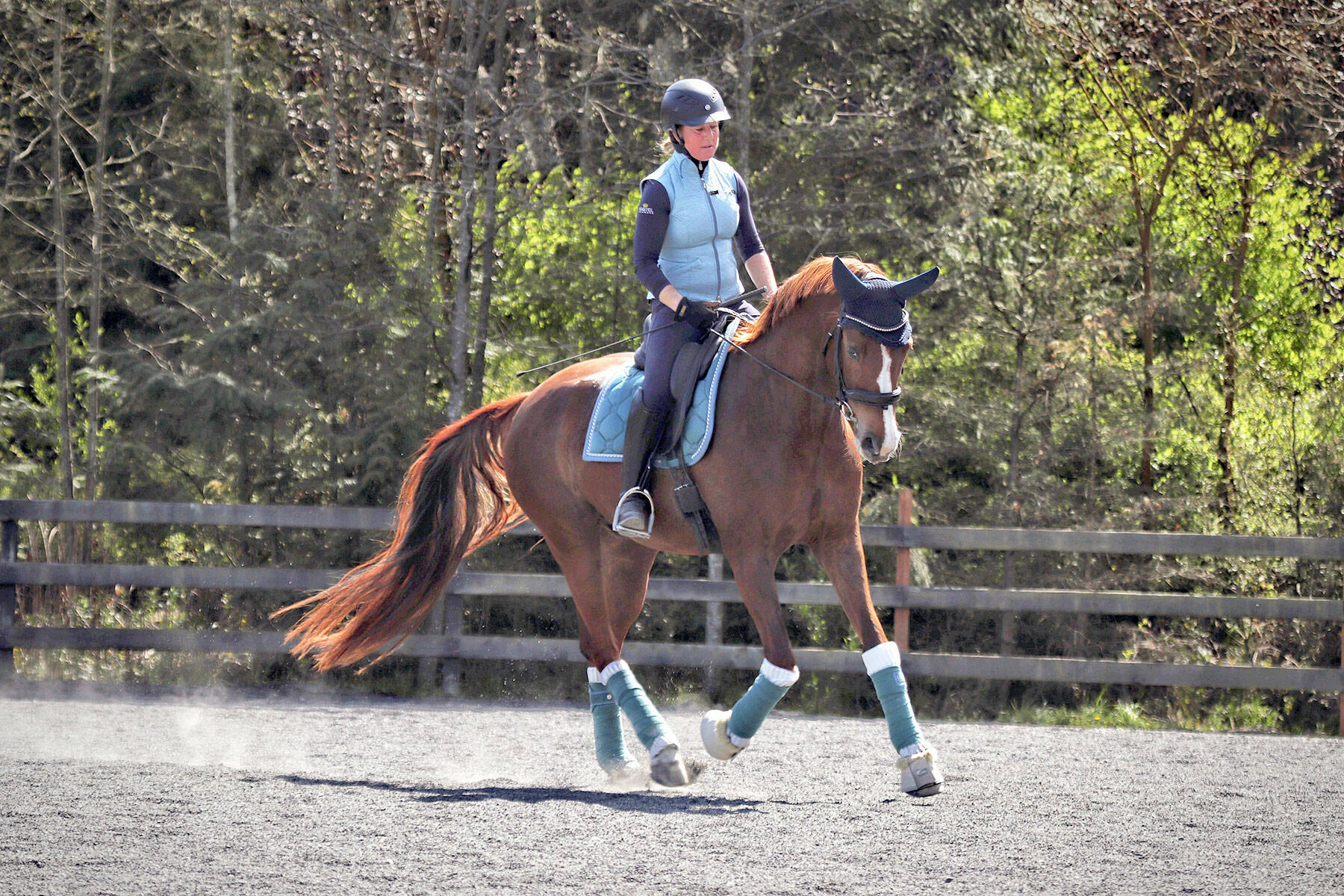 Congratulations to Heron Pond Farm owner/trainer Christine Headley, riding Gordy, for receiving The Dressage Foundation’s $1,000 grant from its Trip Harting Fund for Pony Club Members and Graduates. (Courtesy of Hannah Grace)