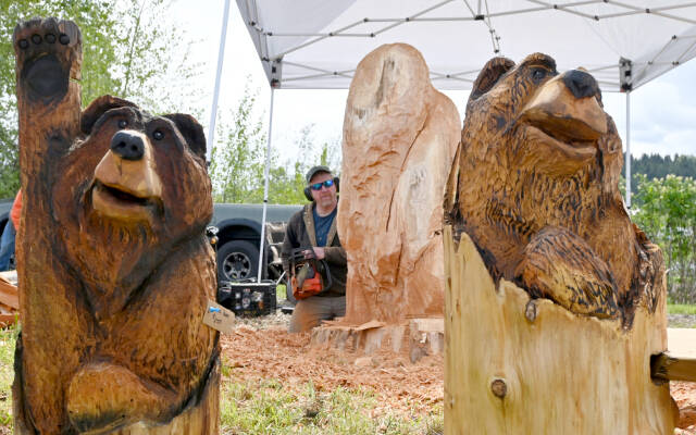 Michael Dashiell/Olympic Peninsula News Group 

Denny Henson of NW Rustic Cuts works on carved bears at the Logging Show at the Sequim Irrigation Festival on Friday. The show continues today from 10 a.m. to 6 p.m. as well as a variety of other events during the festival’s grand finale weekend. The highlight will be the Grand Parade through downtown Sequim from noon to 1:30 p.m. today. For more information, see irrigationfestival.com and facebook.com/SequimIrrigationFestival.
